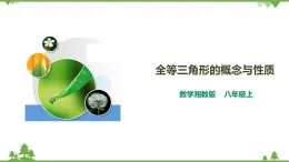 湘教版數(shù)學(xué)八年級(jí)上冊(cè)  2.5.1全等三角形的概念與性質(zhì)（課件+教案+練習(xí)）