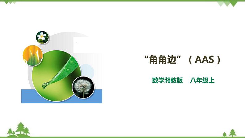 湘教版数学八年级上册 2.5.4“角角边”(AAS)(课件+教案+练习)01