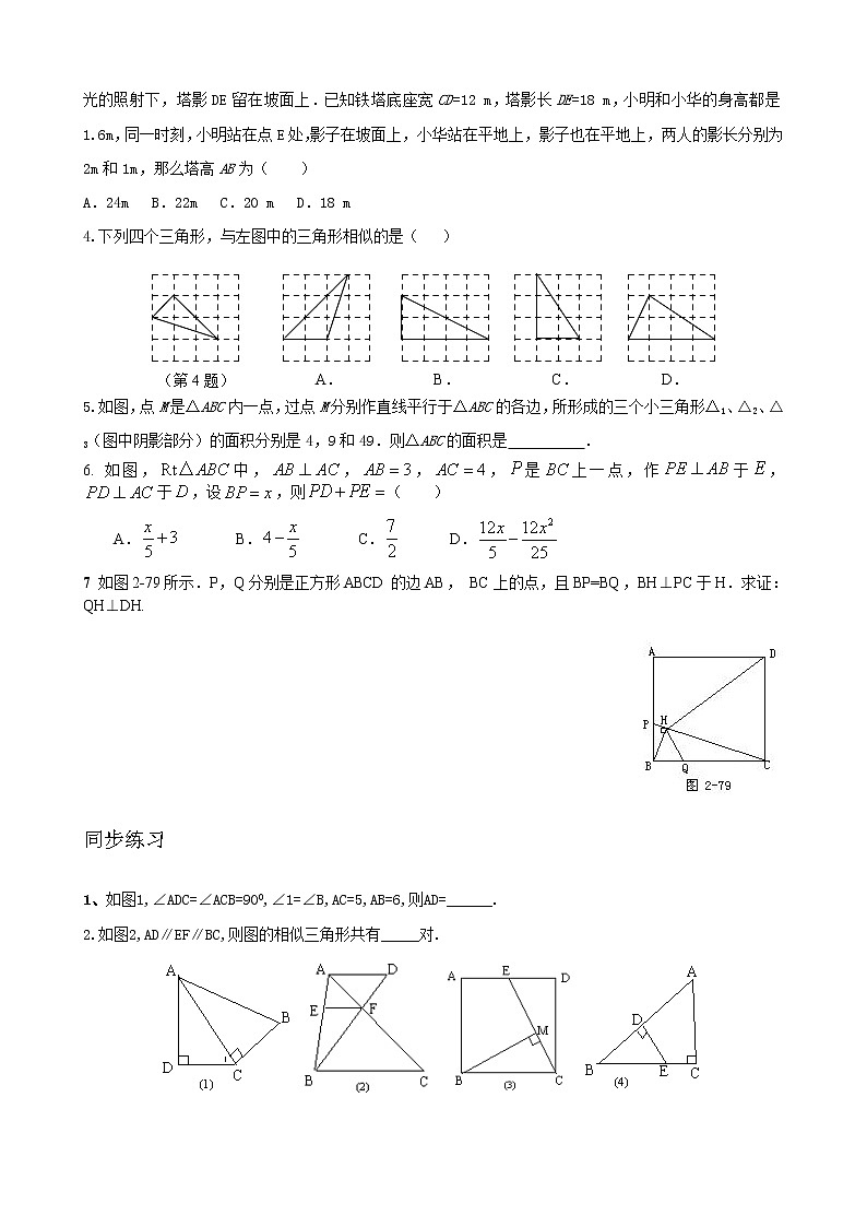 北师大九年级数学上第四章相似三角形的性质与判定练习02