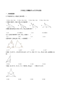 2020-2021年福建省龙岩市八年级上学期数学10月月考试卷