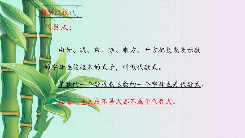 鲁教版(五四制)六年级上册数学第三章 整式及其加减《代数式》课件05