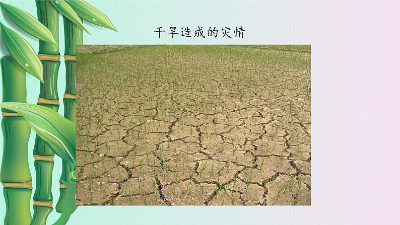 鲁教版(五四制)七年级上册数学第六章 一次函数《一次函数的应用》课件04