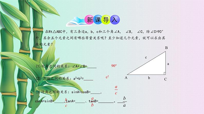 鲁教版(五四制)九年级上册数学第二章 直角三角形的边角关系《解直角三角形》课件第2页