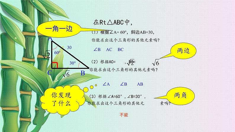 鲁教版(五四制)九年级上册数学第二章 直角三角形的边角关系《解直角三角形》课件第4页