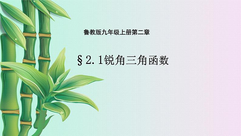 鲁教版(五四制)九年级上册数学第二章 直角三角形的边角关系《锐角三角函数》课件02
