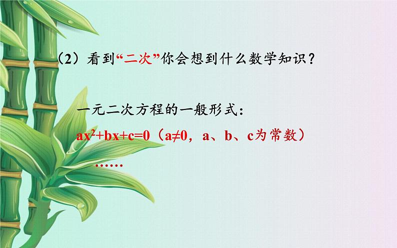 鲁教版(五四制)九年级上册数学 第三章 二次函数《二次函数》课件07