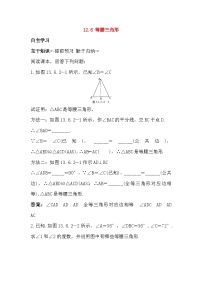 初中数学北京课改版八年级上册12.6 等腰三角形免费复习练习题