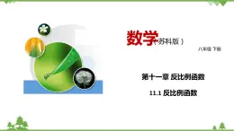 11.1 反比例函数-八年级数学下册  同步教学课件（苏科版）