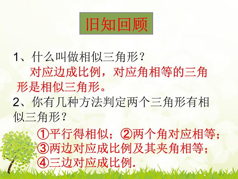华师大版数学九年级上册 23.3.3相似三角形的性质 课件03