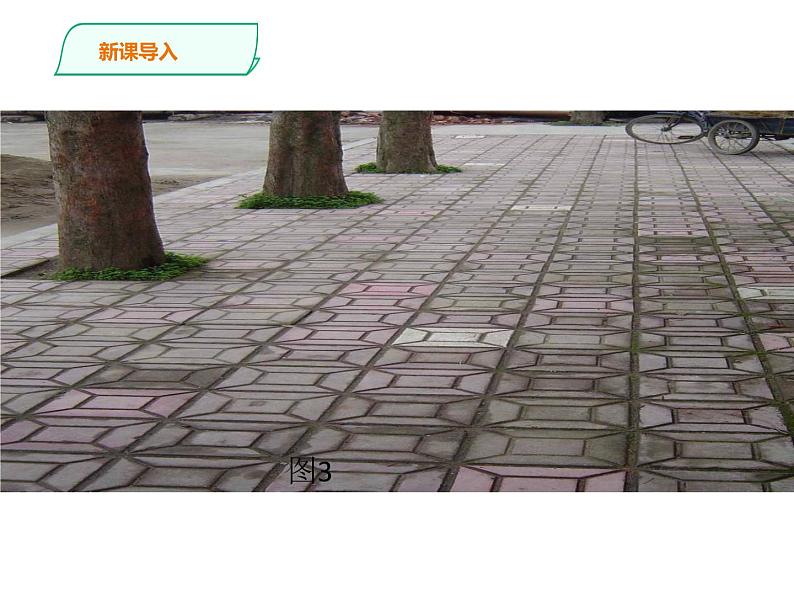 人教版八年级数学上册--平面镶嵌课件PPT05