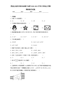 黑龙江省齐齐哈尔市碾子山区2020-2021学年八年级上学期期末数学试题（word版 含答案）