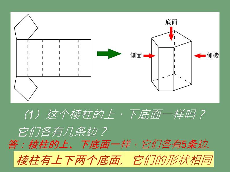 北师大版七年级数学上册 1.2 展开与折叠课件PPT第4页