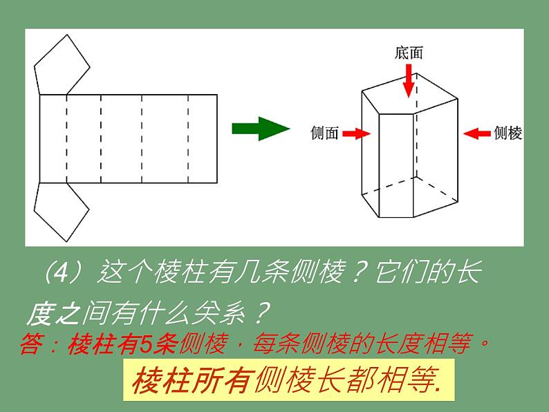 北师大版七年级数学上册 1.2 展开与折叠课件PPT第7页
