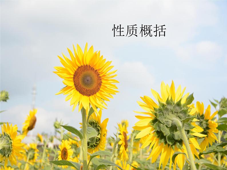 15.1 二次根式(1)(课件)-2021-2022学年数学八年级上册-冀教版第5页