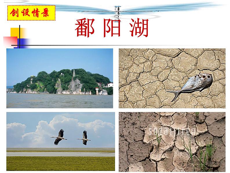 北师大版七年级数学上册 6.1 数据的收集课件PPT第2页
