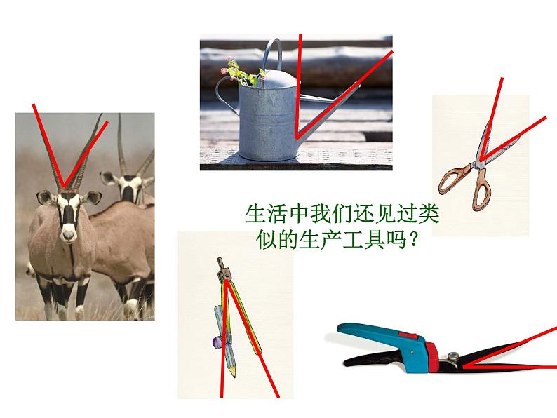苏科版七年级数学上册 6.2 角课件PPT04