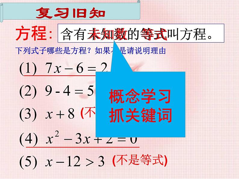 2021-2022学年度北师大版数学七年级上册5.1一元一次方程的认识课件(17张)第3页