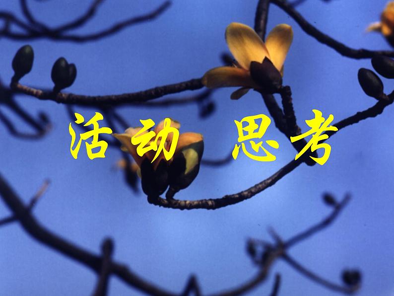 苏科版七年级数学上册1.2 活动 思考_ 课件01