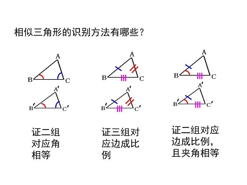 北师大版 数学九年级上册第四章 4.7 相似三角形的性质(第1课时)课件PPT04