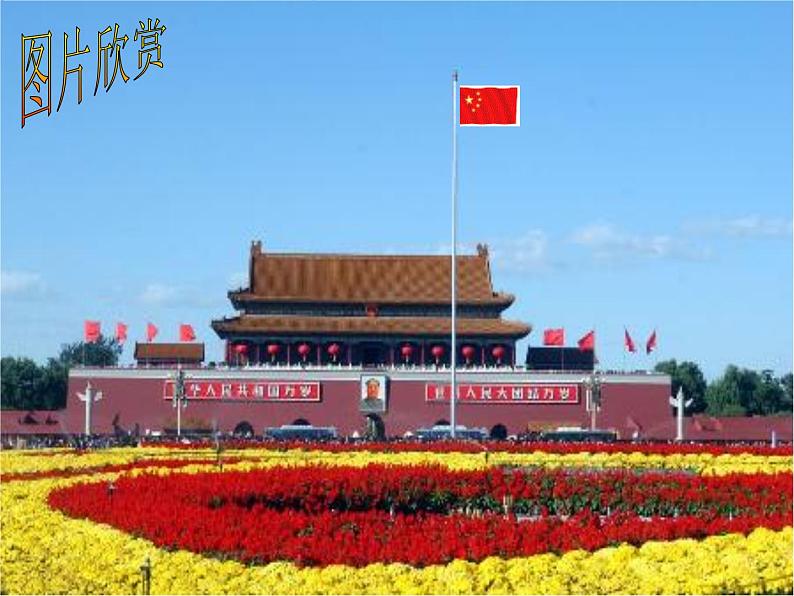 北师大版九年级下册第一章 1.6利用三角函数测高课件PPT01