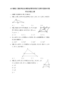 初中数学北师大版九年级上册5 相似三角形判定定理的证明优秀精练