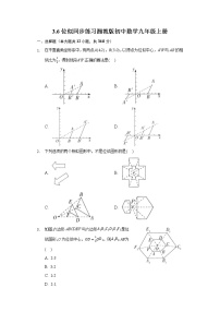 初中数学湘教版九年级上册3.6 位似精品练习题