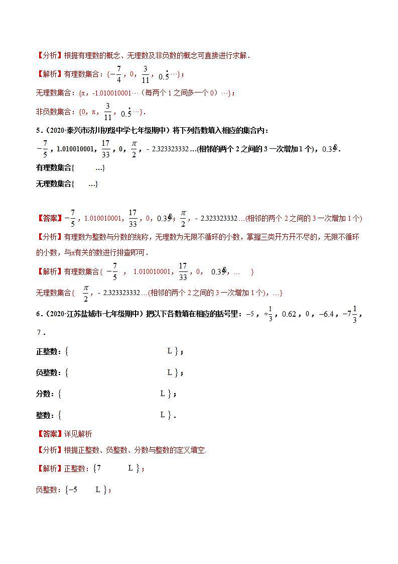 专题2.12有理数的分类大题专练(重难点培优)-2021-2022学年七年级数学上册尖子生同步培优题典(解析版)【苏科版】第3页