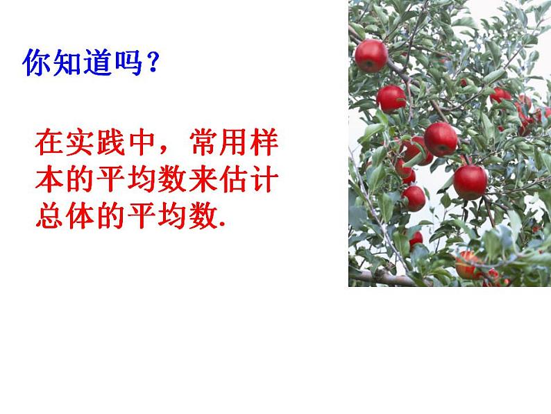 苏科版九年级数学上册 3.1 平均数课件PPT08