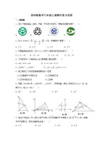 苏科版数学八年级上册期中复习试卷06（含答案）