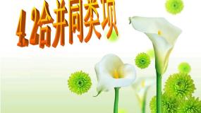 初中数学4.2 合并同类项教课内容ppt课件