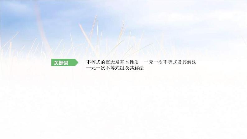 (广西版)中考数学总复习课件11《一元一次不等式(组)》(含答案)第2页