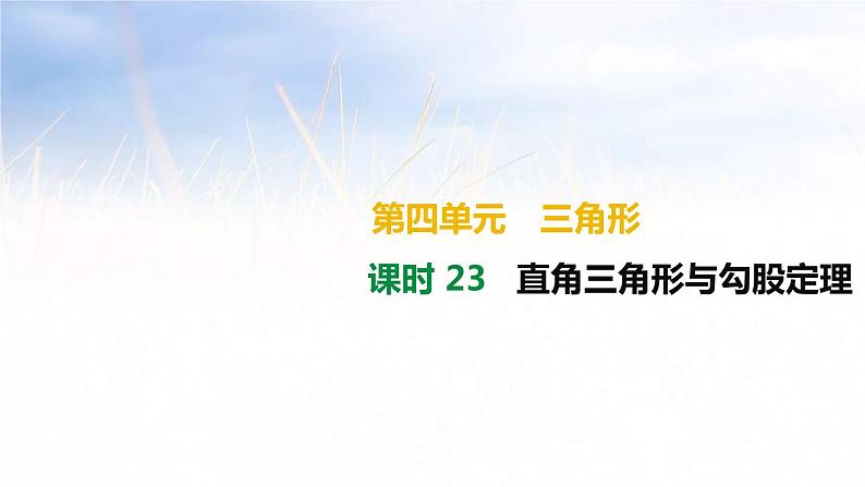 (广西版)中考数学总复习课件23《直角三角形与勾股定理》(含答案)第1页