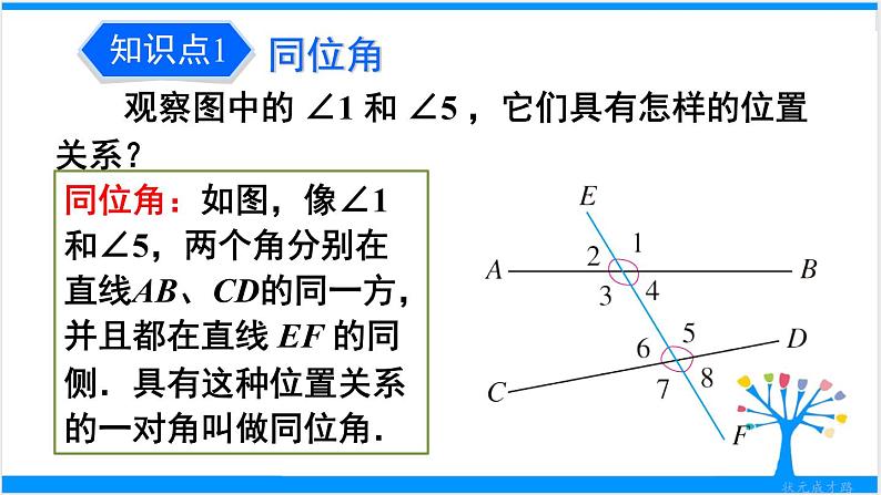 人教版七年级下册数学5.1.3 同位角、内错角、同旁内角(课件+导学案+同步练习含答案)07