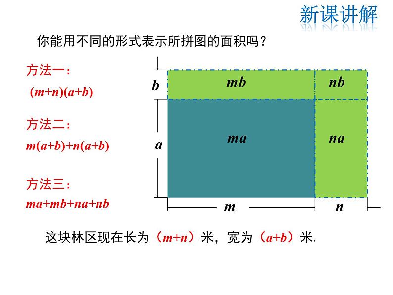 2021-2022学年度华师大版八年级上册数学课件 12.2 整式的乘法(第3课时)05