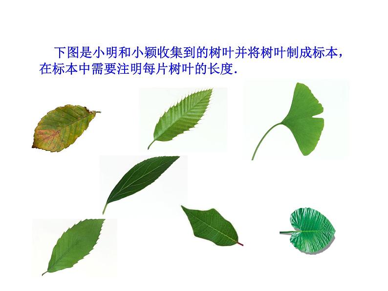 1.5.3 近似数课件PPT02