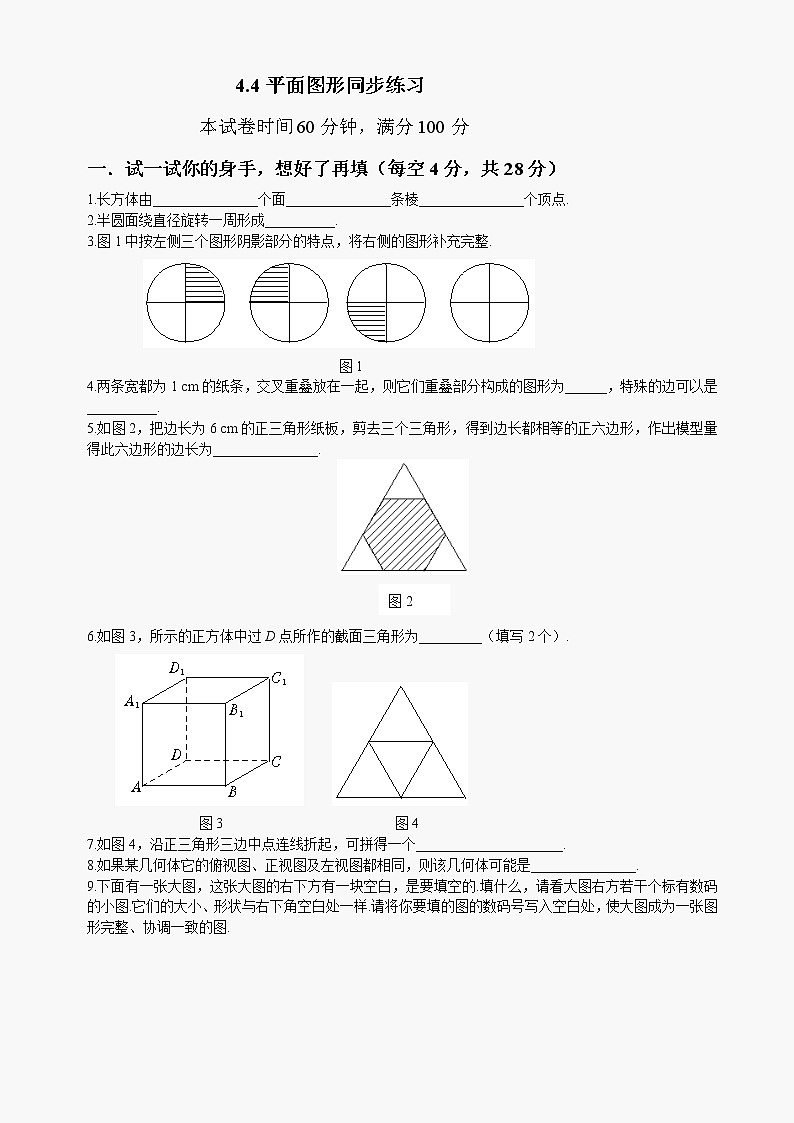 数学七年级上华东师大版4.4平面图形同步练习第1页