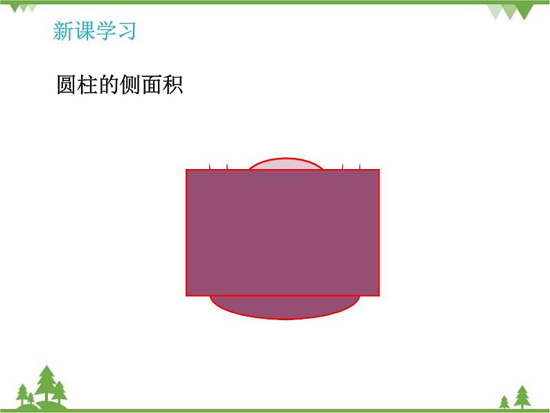 人教版(五四制)数学六年级上册 5.1 圆柱_课件07