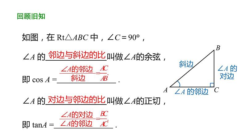 28.1 锐角三角函数(第3课时) 课件 2020-2021学年 九年级数学人教版下册03