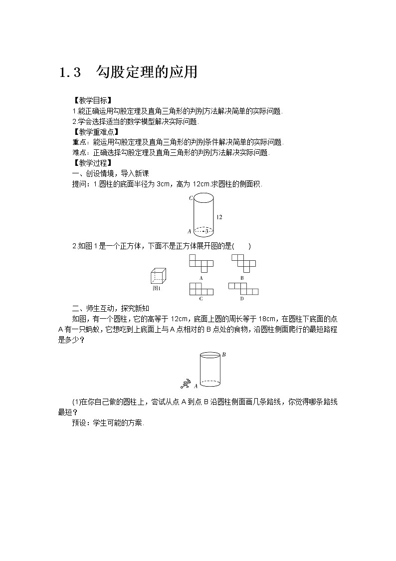 1.3一定是直角三角形吗教案第1页
