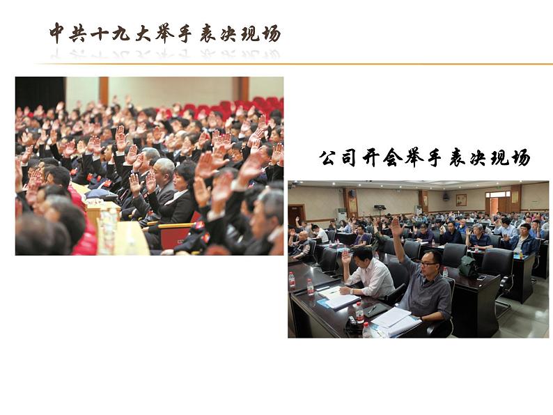 5.1数据的收集与抽样 第1课时 湘教版数学七年级上册 课件06