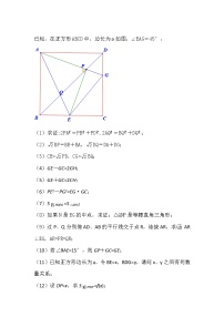 【专项练习】备战中考数学58种模型专练 27.正方形半角（含答案）