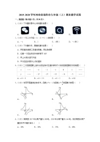 2019-2020学年河南省洛阳市九年级（上）期末数学试卷