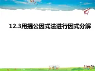 12.3用提公因式法进行因式分解课件PPT