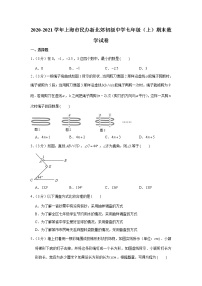 2020-2021学年上海市民办新北郊初级中学七年级（上）期末数学试卷