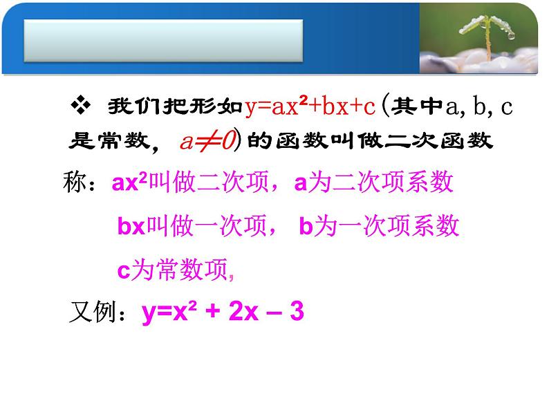 22.1.1二次函数教学课件-2021-2022学年人教版数学九年级上册第8页