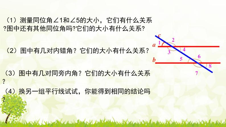 北师大版七年级数学下册2.3.1  平行线的性质  课件+练习07