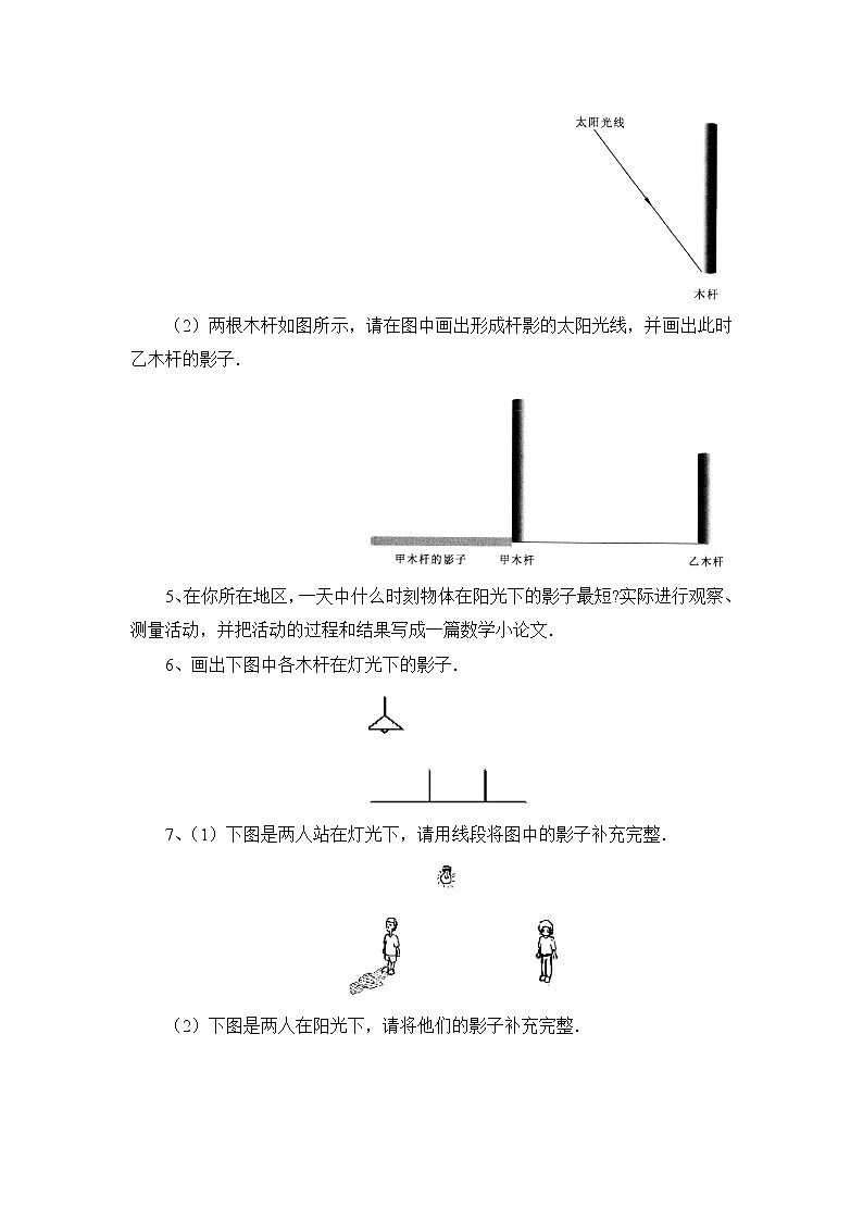 北师大九年级数学5.1《投影》同步练习1第2页