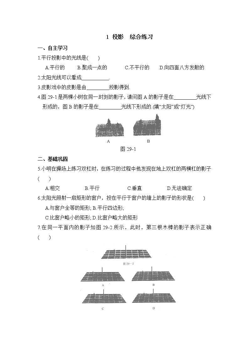 北师大九年级数学5.1《投影》综合练习第1页