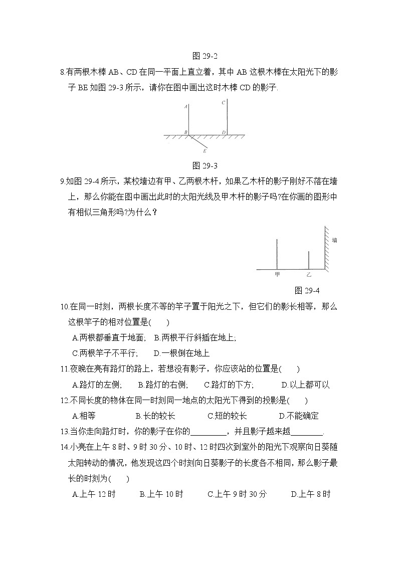 北师大九年级数学5.1《投影》综合练习第2页