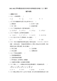 黑龙江省齐齐哈尔市拜泉县2021-2022学年七年级上学期期中数学【试卷+答案】